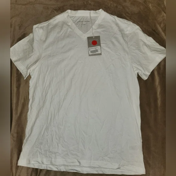Everlane "The Essential" Organic Cotton V-Neck Tee: Size Large - Picture 5 of 7
